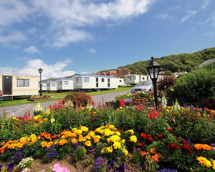 Flowers at our Westward Ho! holiday park