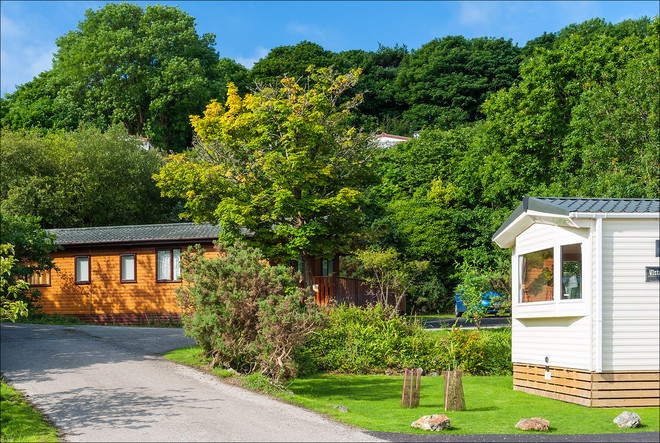 Holiday Homes surrounded by lush green Trees