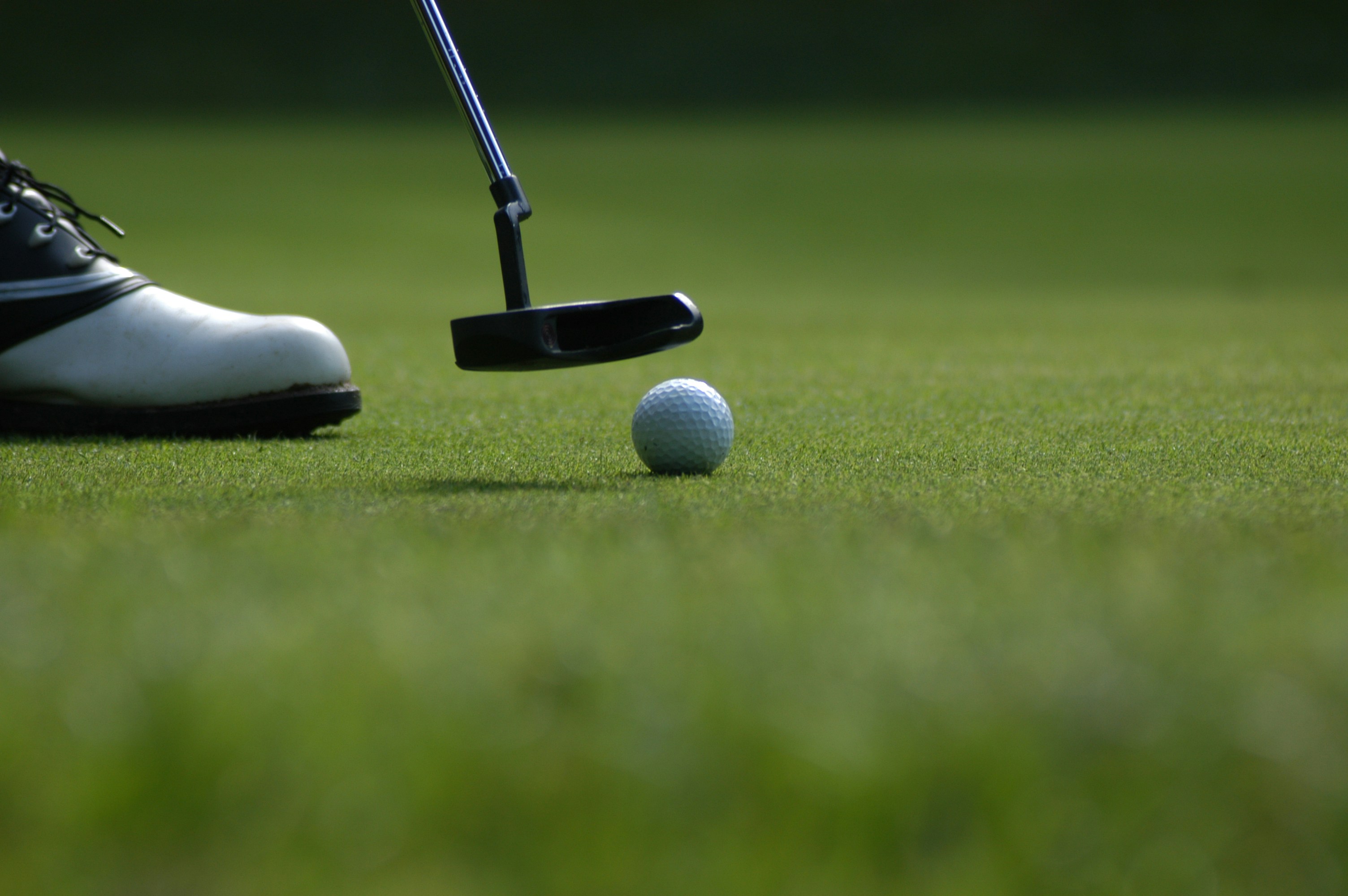 Putter near a Golf Ball on the Grass
