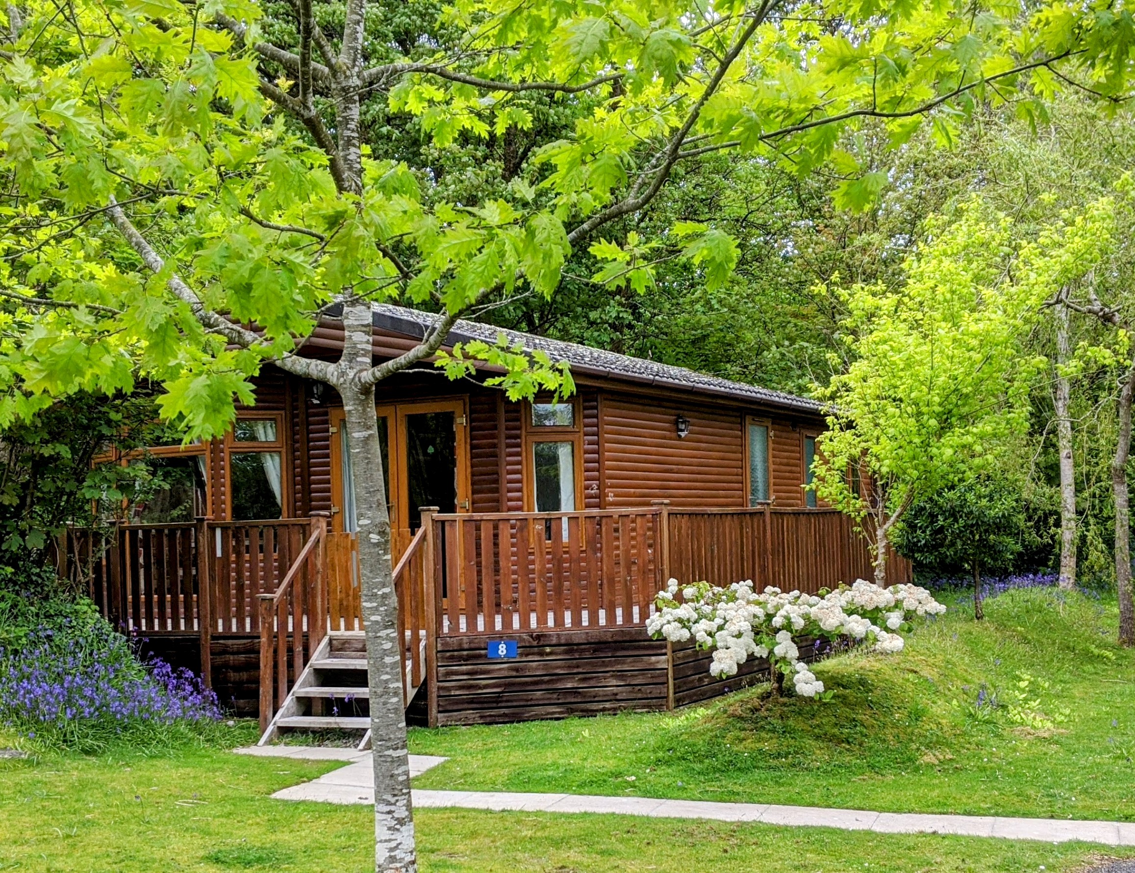 Holiday Lodge surrounded by trees