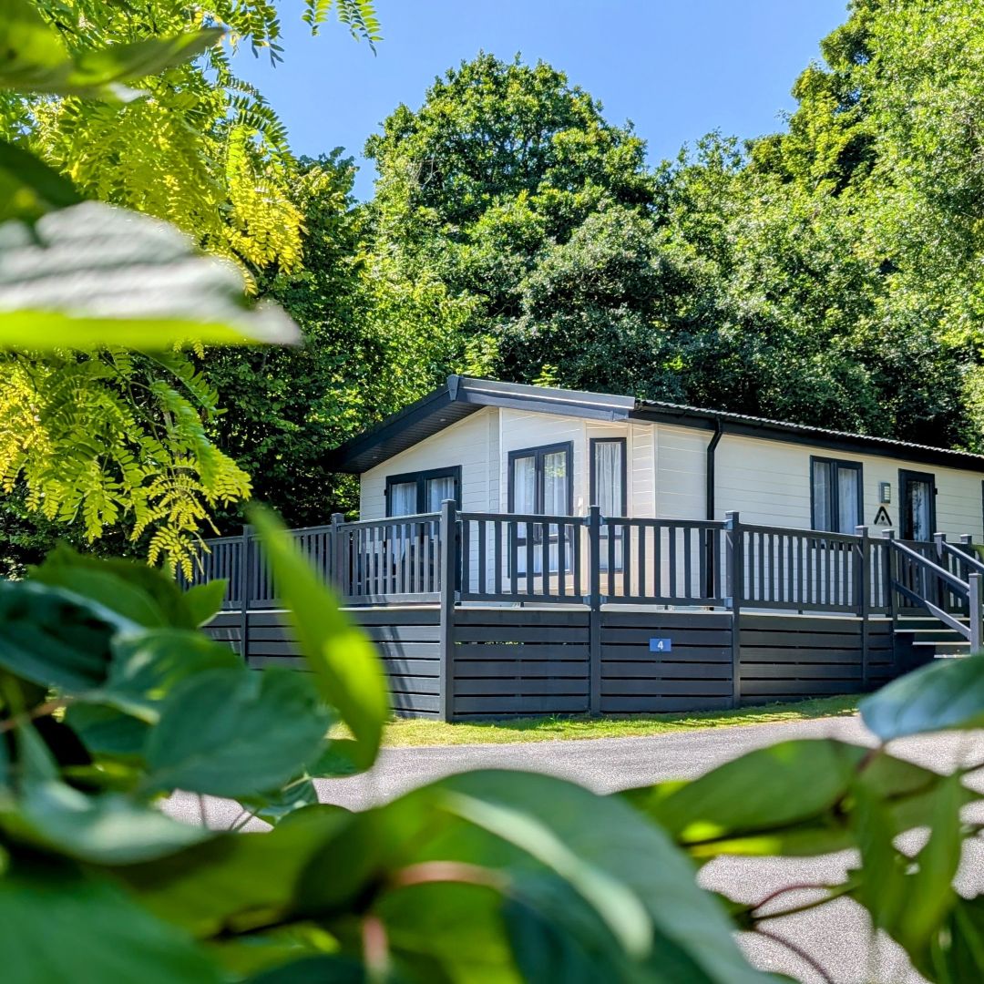 Holiday Lodge surrounded by trees
