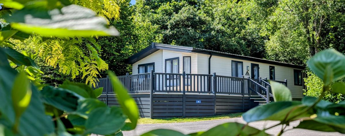 Lodge with leaves in the sun