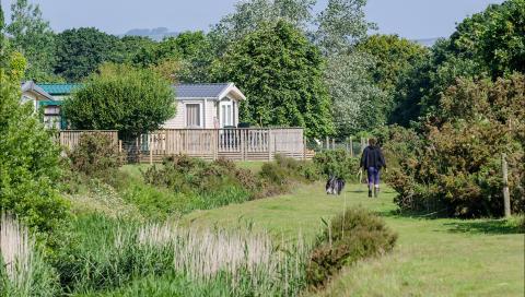 A Person Walking alongside a River with their Dog, near to Caravan Holiday Homes