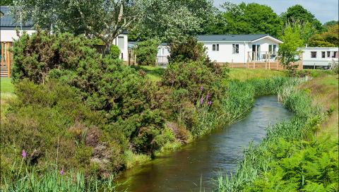 A River running alongside Caravan Holiday Homes in the Lush Green Countryside