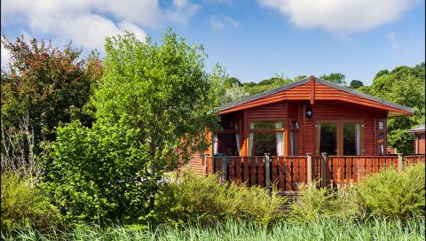 Traditional Wooden Lodge surrounded by Trees