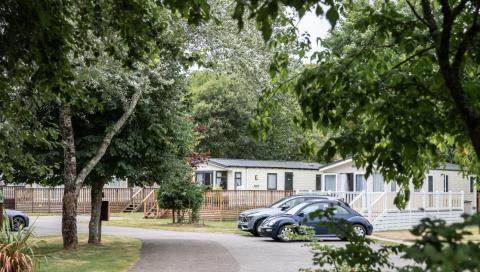 Holiday Homes set in a Woodland setting