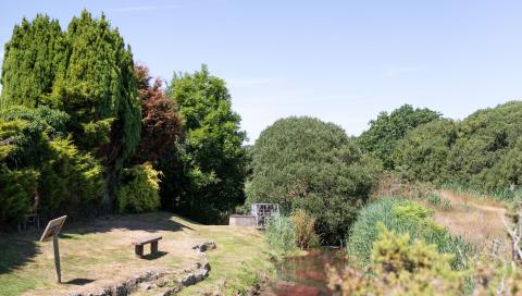 A River in the Lush Green Countryside