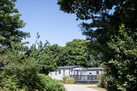 Peaceful caravan surrounded by trees