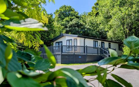 Summer lodge with leaves